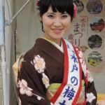 2014_10_11太閤はんの大号令！ご当地キャラ天下統一大合戦